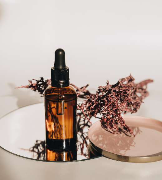 Hair Oil 1 Hair Oil 1