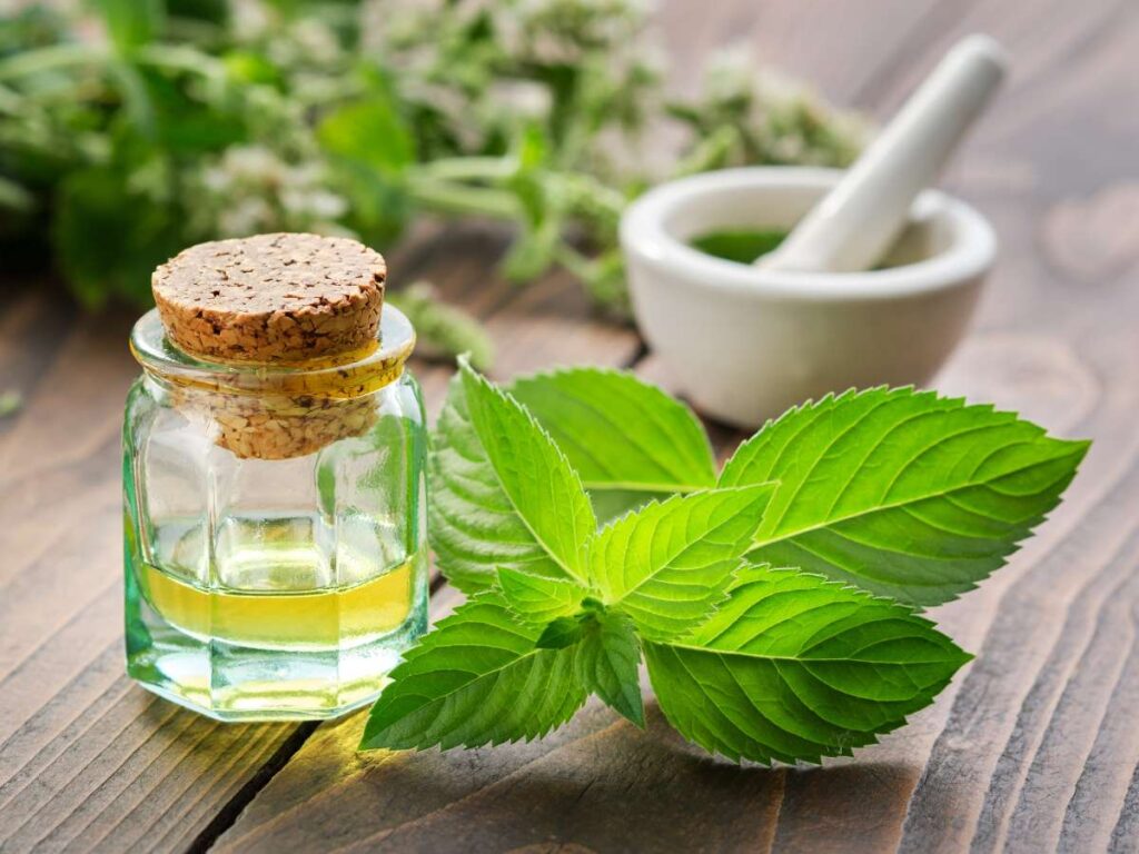 6 Essential Raw Materials for Making Hand Wash 27